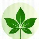 Feuille verte et appareil recyclé